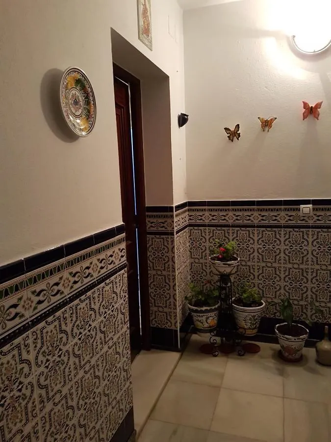 Apartamento En Conil Apartment Conil De La Frontera